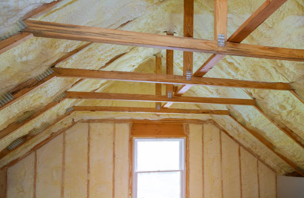 Best Insulation Removal  in Oliver Springs, TN