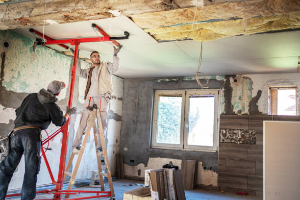 Best Insulation Contractor Near Me  in Oliver Springs, TN