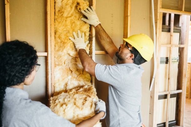 Best Local Insulation Services  in Oliver Springs, TN