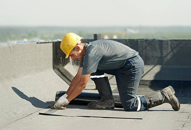 Best Insulation Replacement Services  in Oliver Springs, TN