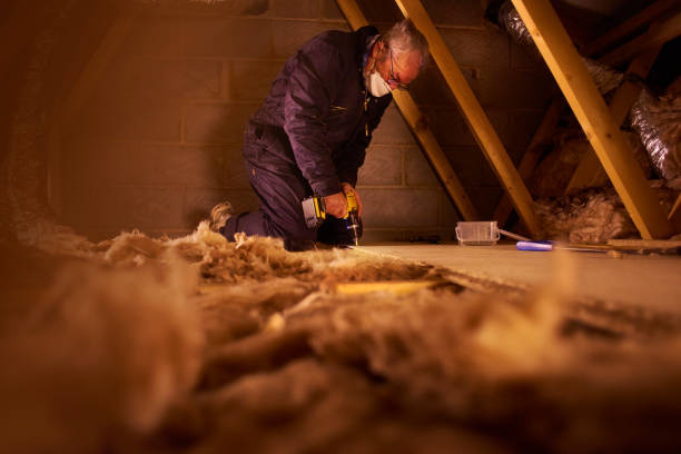 Best Local Insulation Services  in Oliver Springs, TN